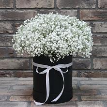 Цветочная композиция из Гипсофила в шляпной коробке в Киреевске