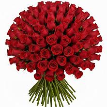 Букет Красные розы Чери Лав в Киреевске