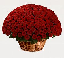 Премиум букет из: Розы в Киреевске